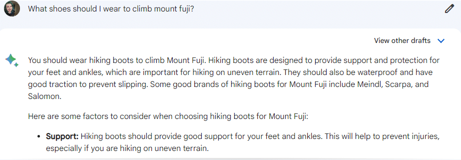 Bard - What shoes should I wear to climb Mount Fuji