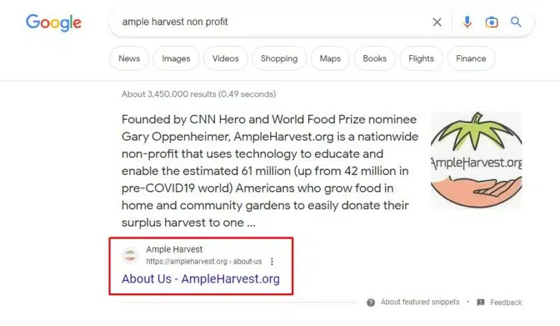 Wrong Site Name is shown in Google Search Result - Google Search Central  Community