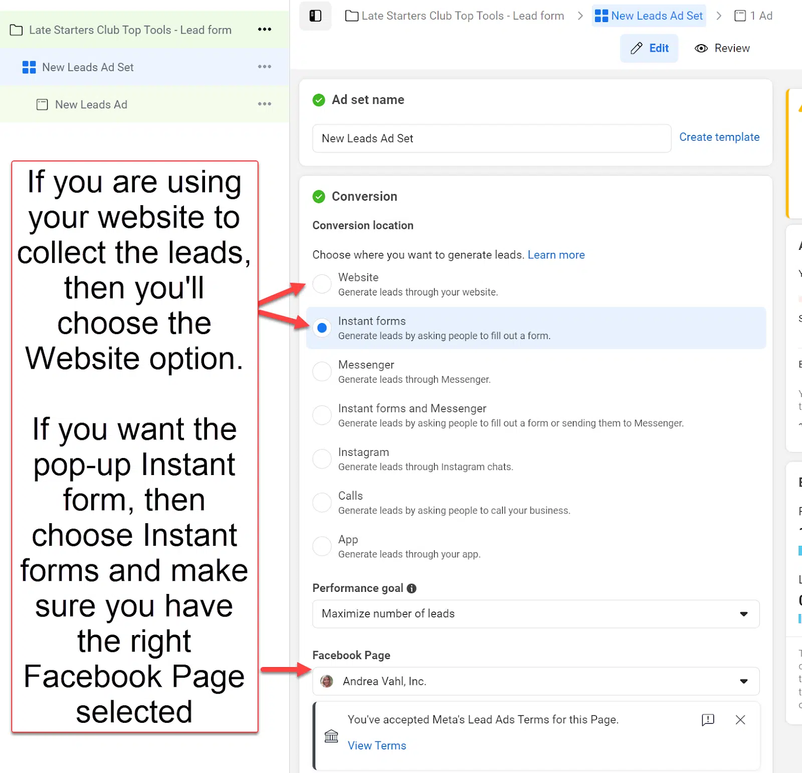 Sofortige Formulare vs. Website-Konvertierungen