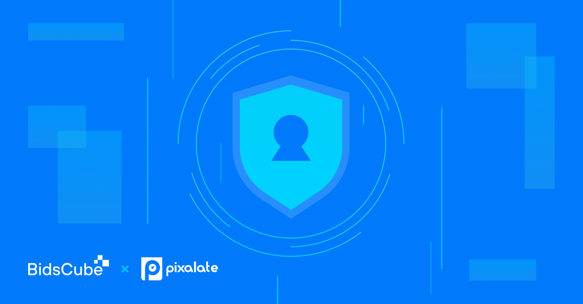 BidsCube teams up with Pixalate to combat ad fraud