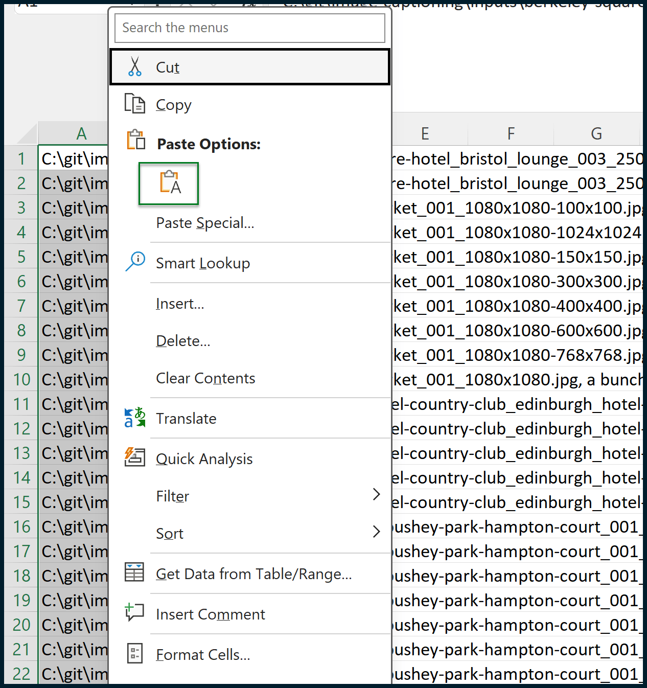 Image Captions Pasted Excel