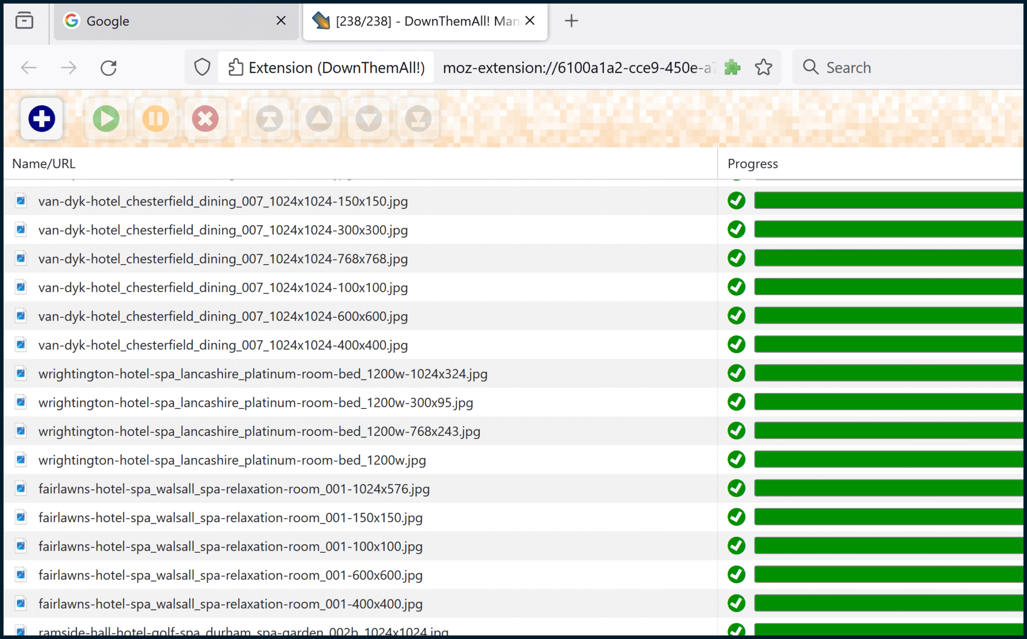 DownThemAll Process Image Downloads