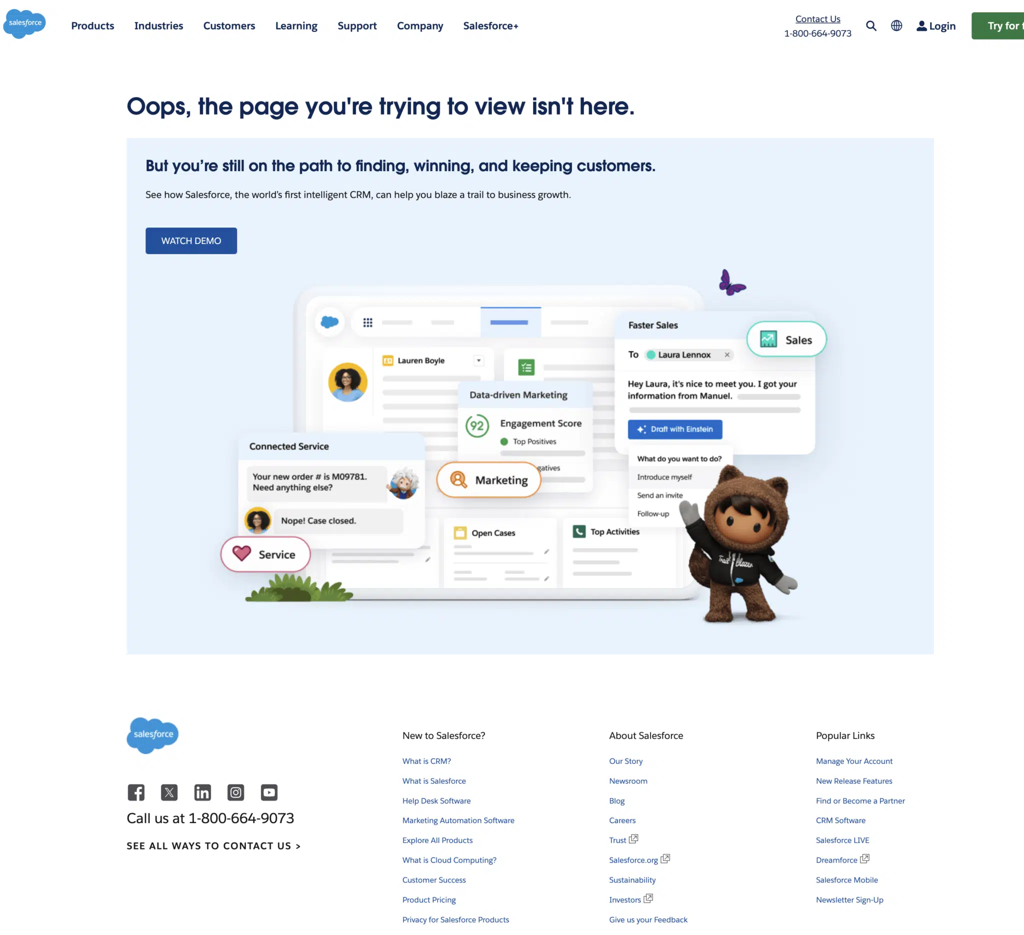 Salesforce 404 page