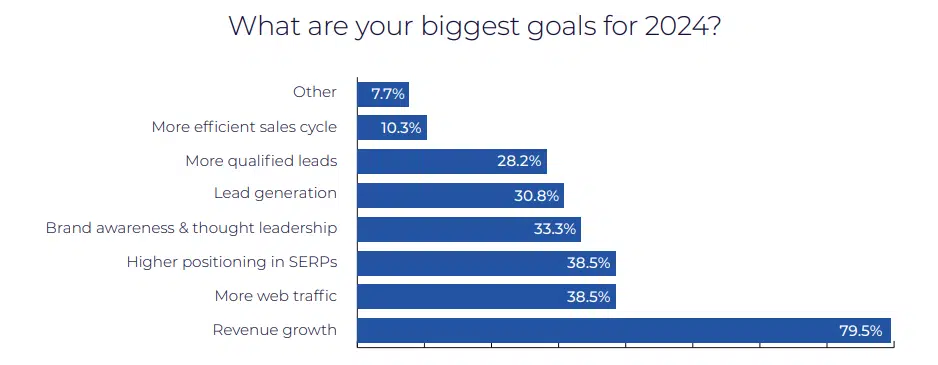 Biggest goals in 2024 - survey question