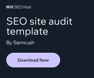 NL-SEO-Site-audit-template-300x250-1