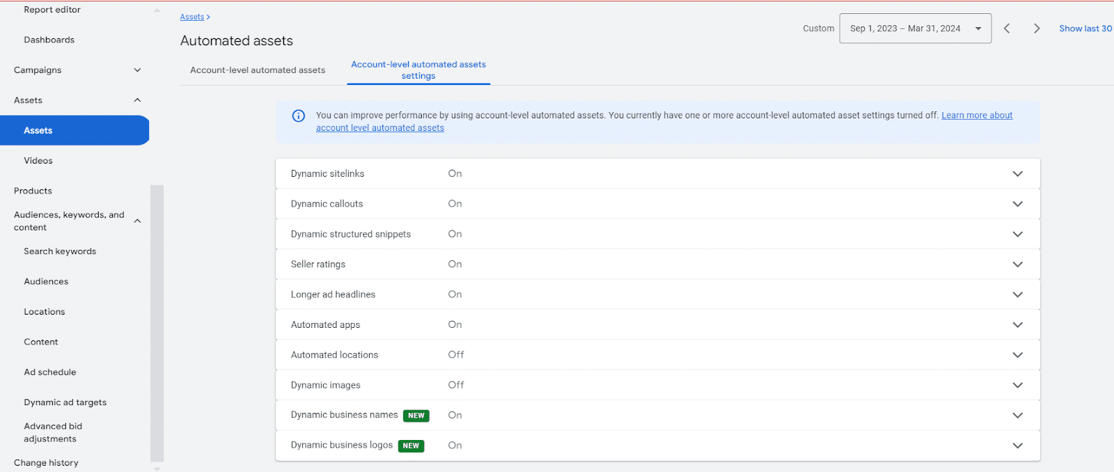 Google Ads - automated assets