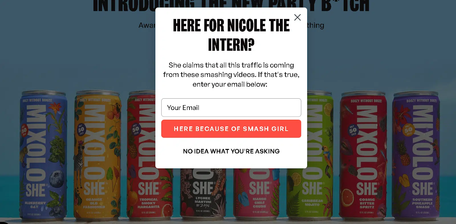 Nicole the Intern popup