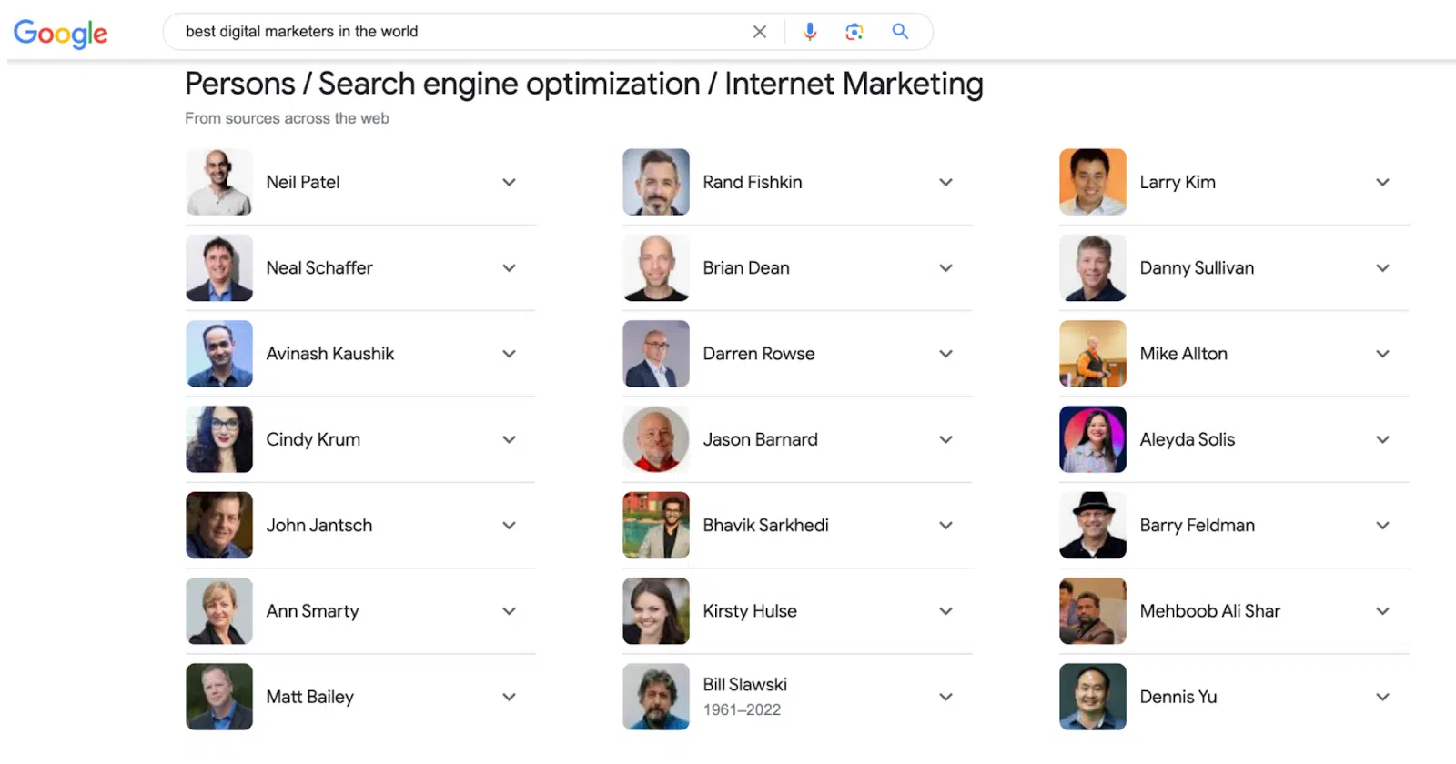 Google Search - Best digital marketers in the world