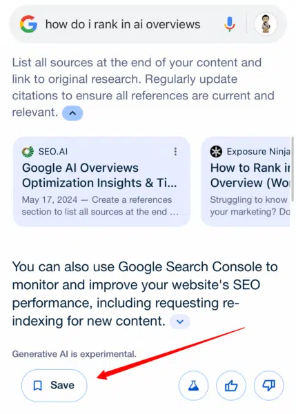 Save Google Ai Overviews 1721563141
