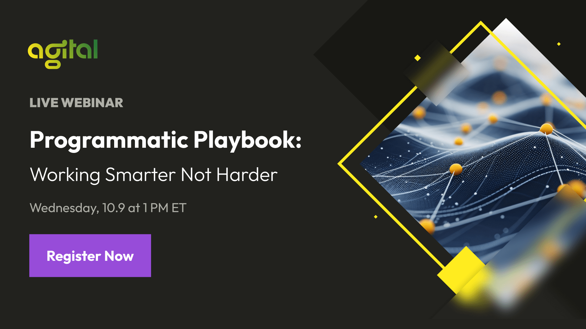 2025 Programmatic Playbook: Working Smarter Not Harder