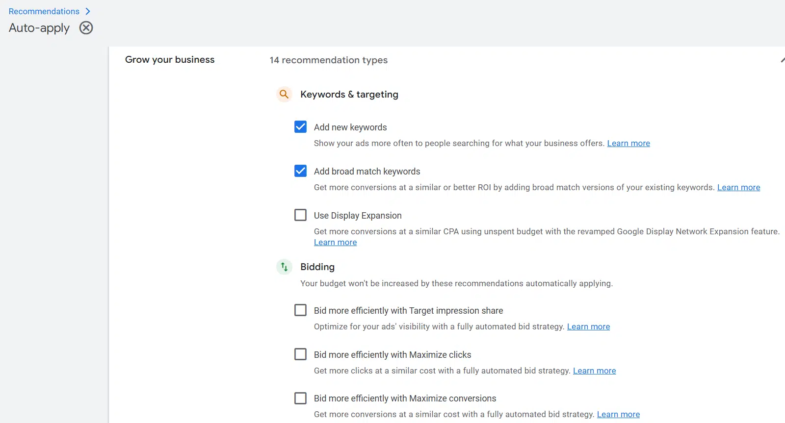 Google Ads auto-apply recommendations