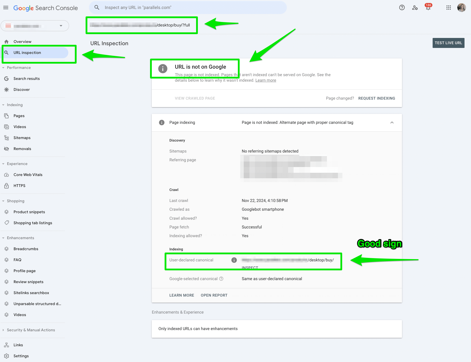 inspect-parameter-url-fix-alternate-page-proper-canonical-tag-google-search-console