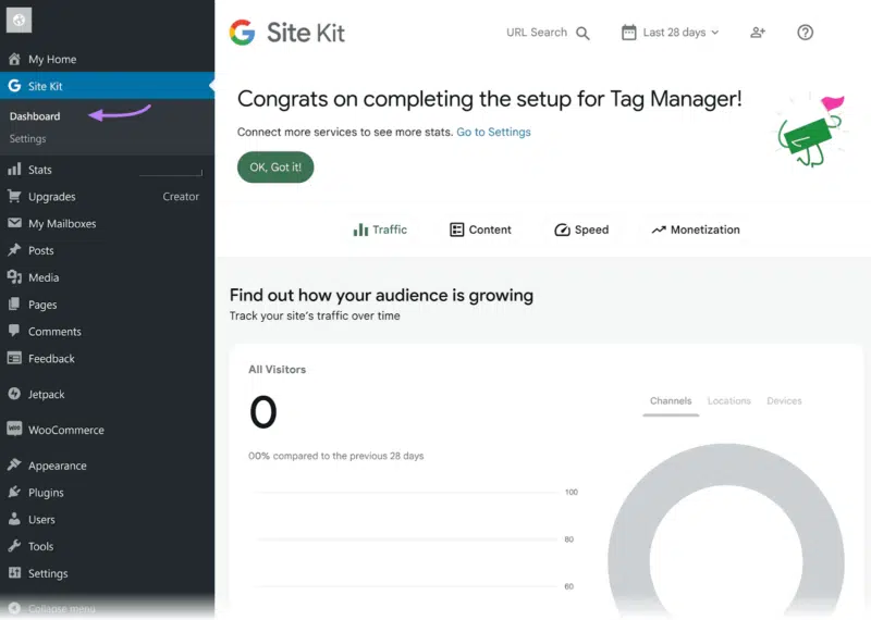 Display key metrics for Tag Manager via Site Kit plugin