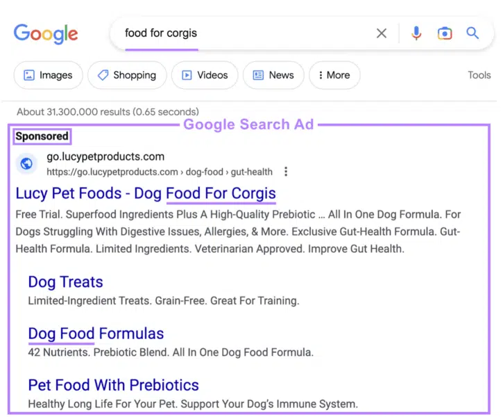 Google Ads for query "food for corgis"