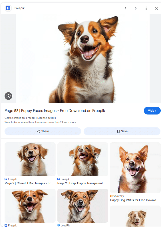 Freepik - Puppy faces images