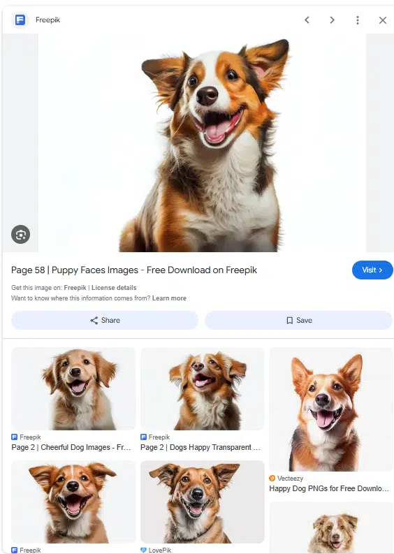 Freepik - Puppy faces images