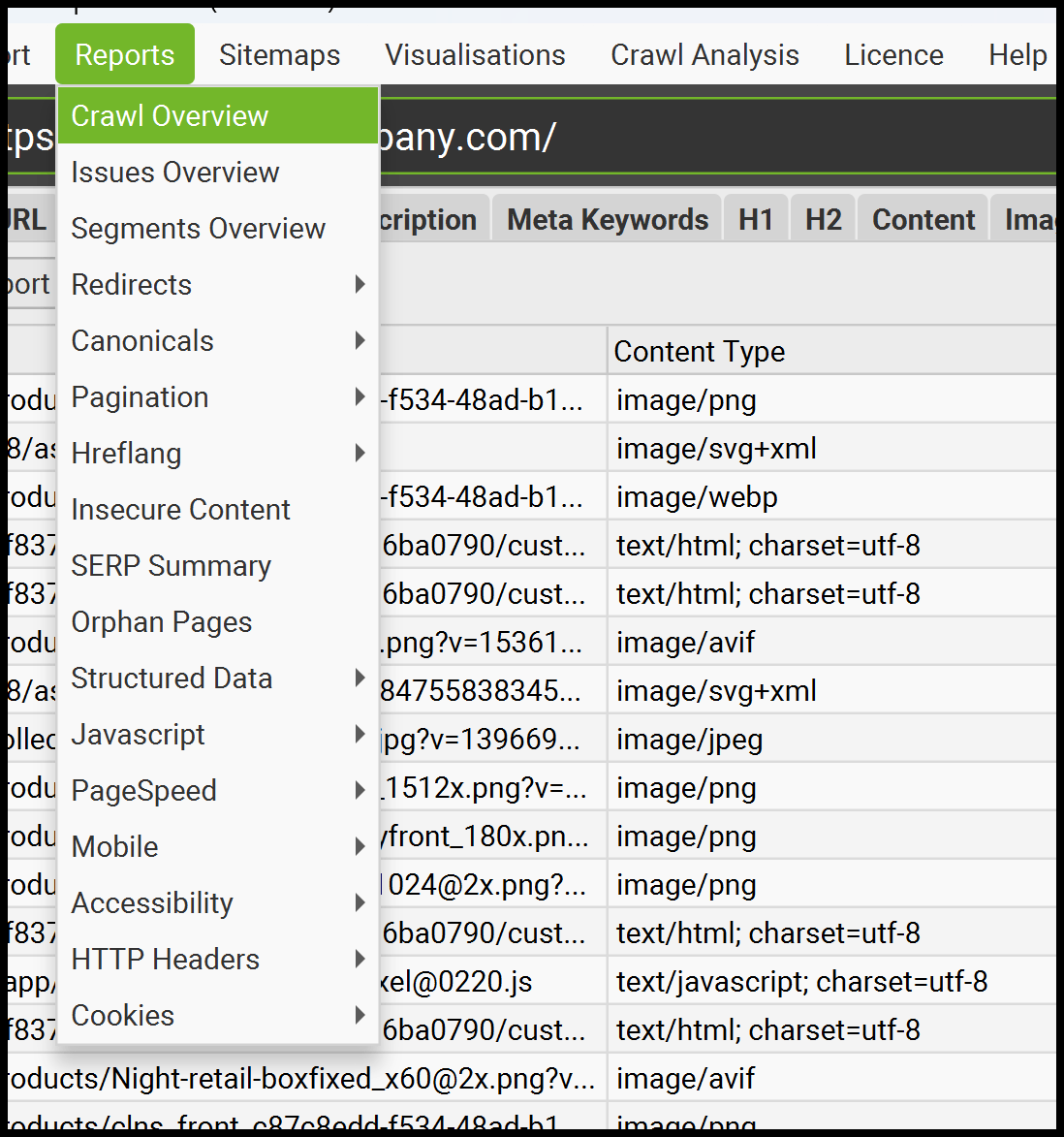 Screaming Frog export options