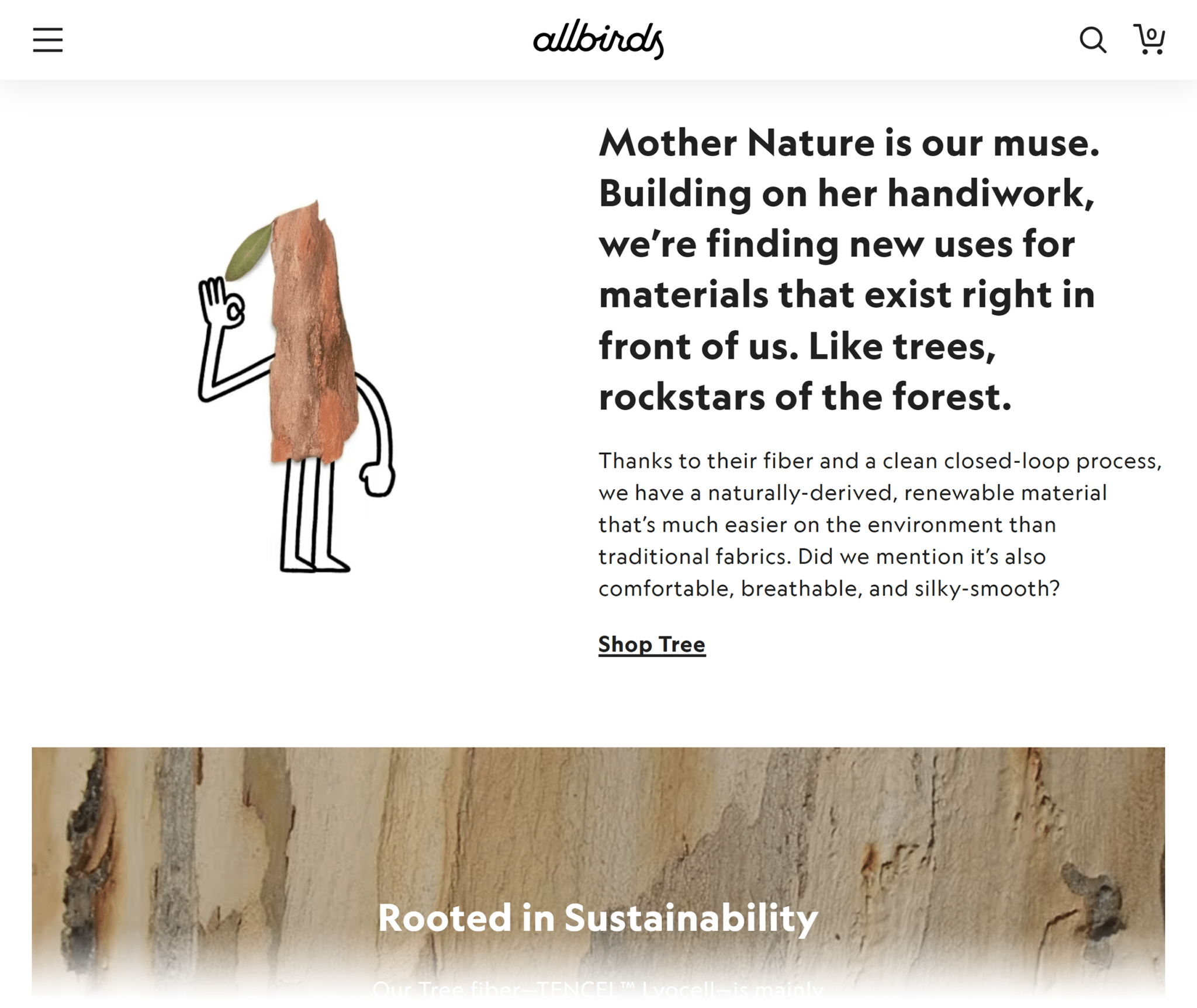 Allbirds Sustainability