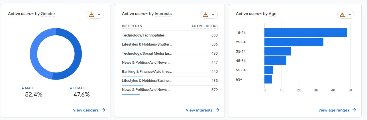 Google Analytics Demographic Details