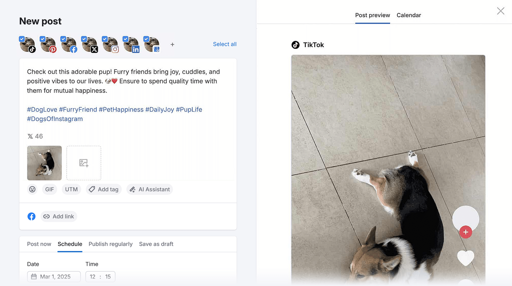 Social Poster Post Preview