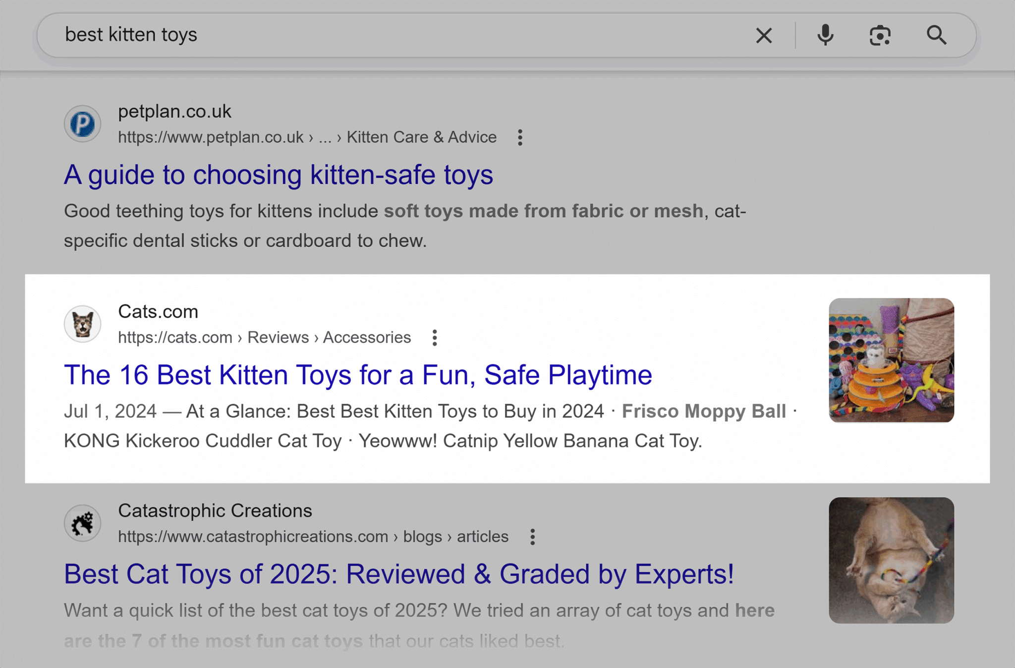 Cats 16 Best Kitten Toys Scaled