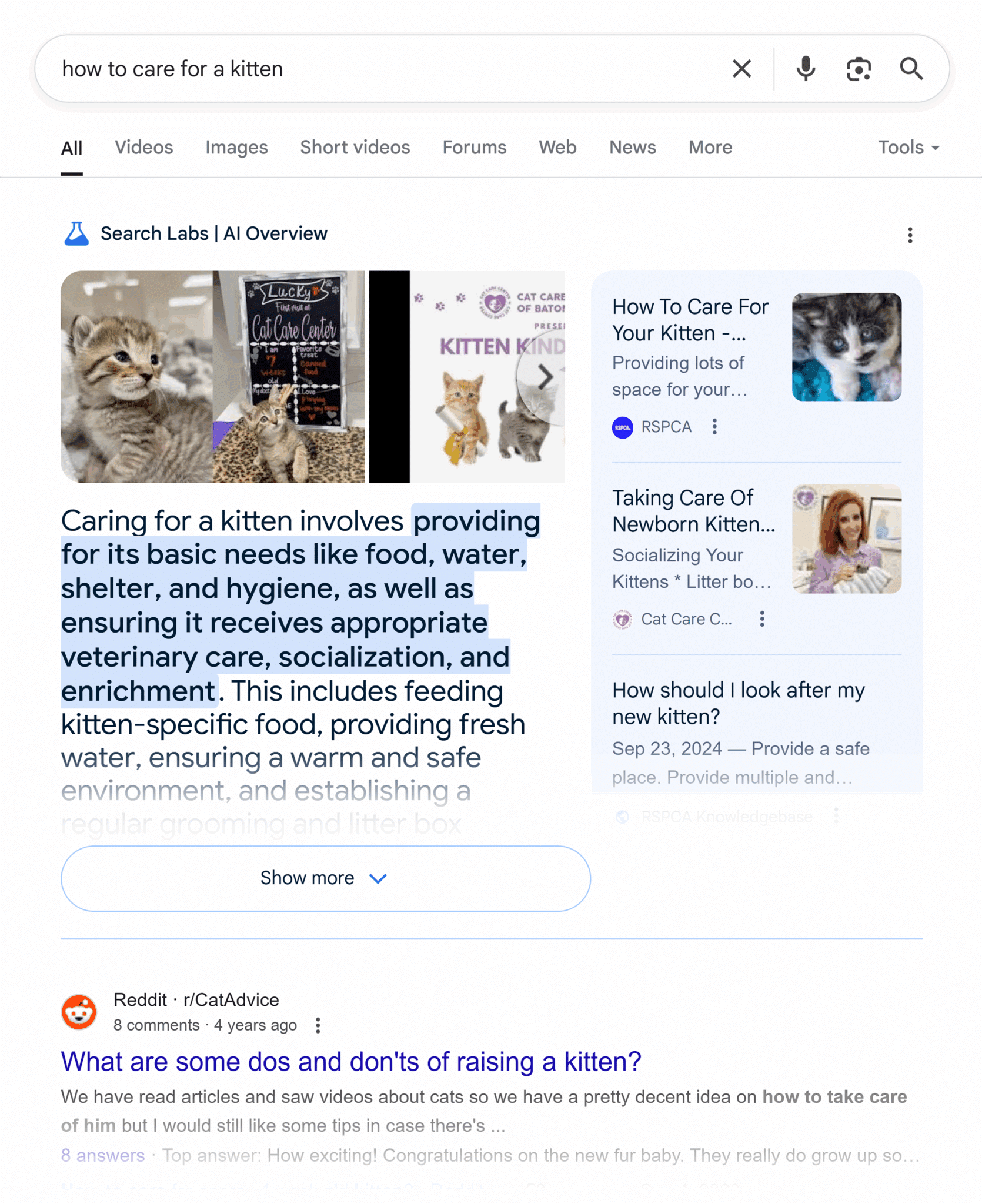 Google Serp How To Care For A Kitten Ai Overview Scaled