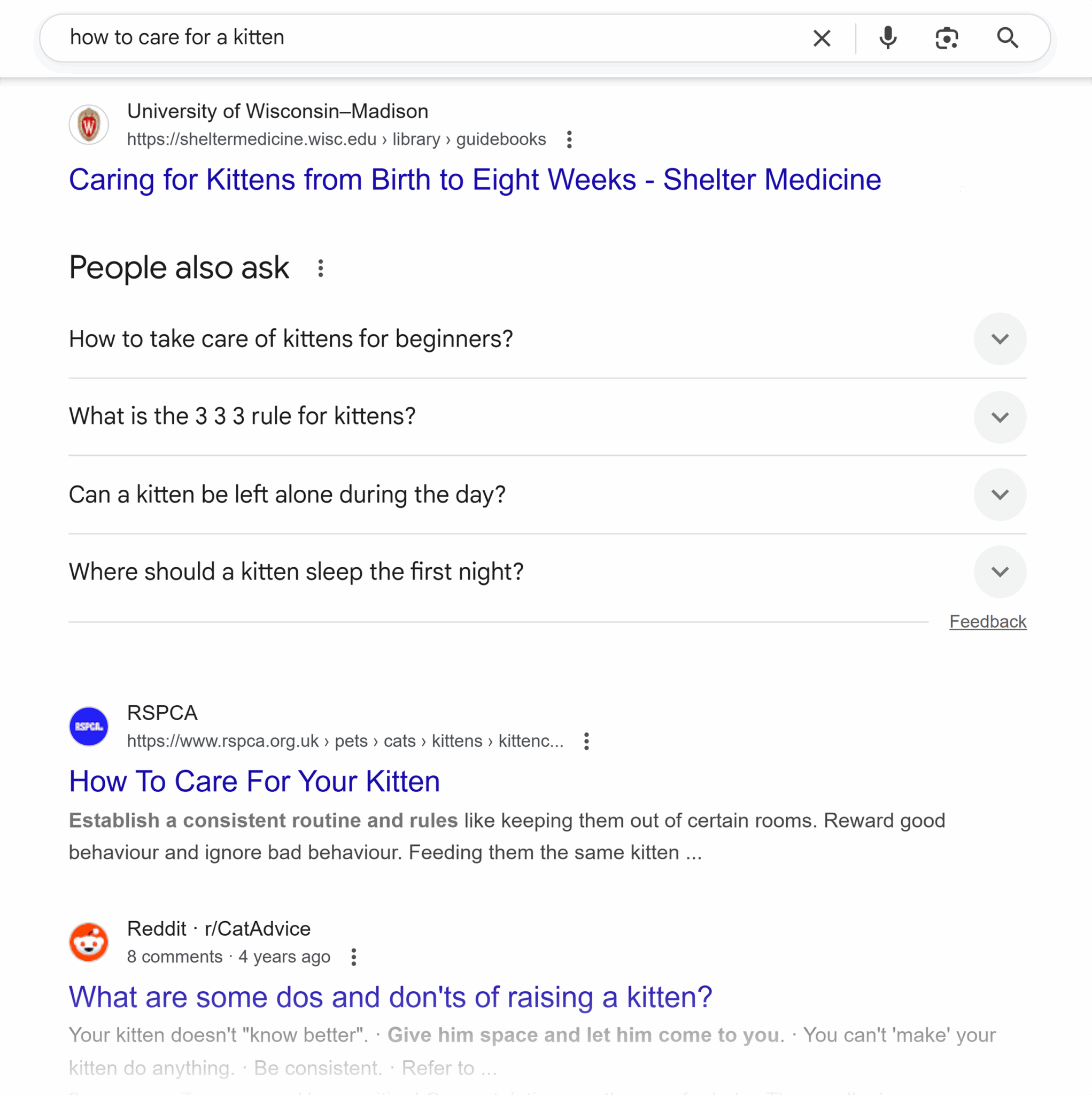 Google Serp How To Care For Kitten Scaled