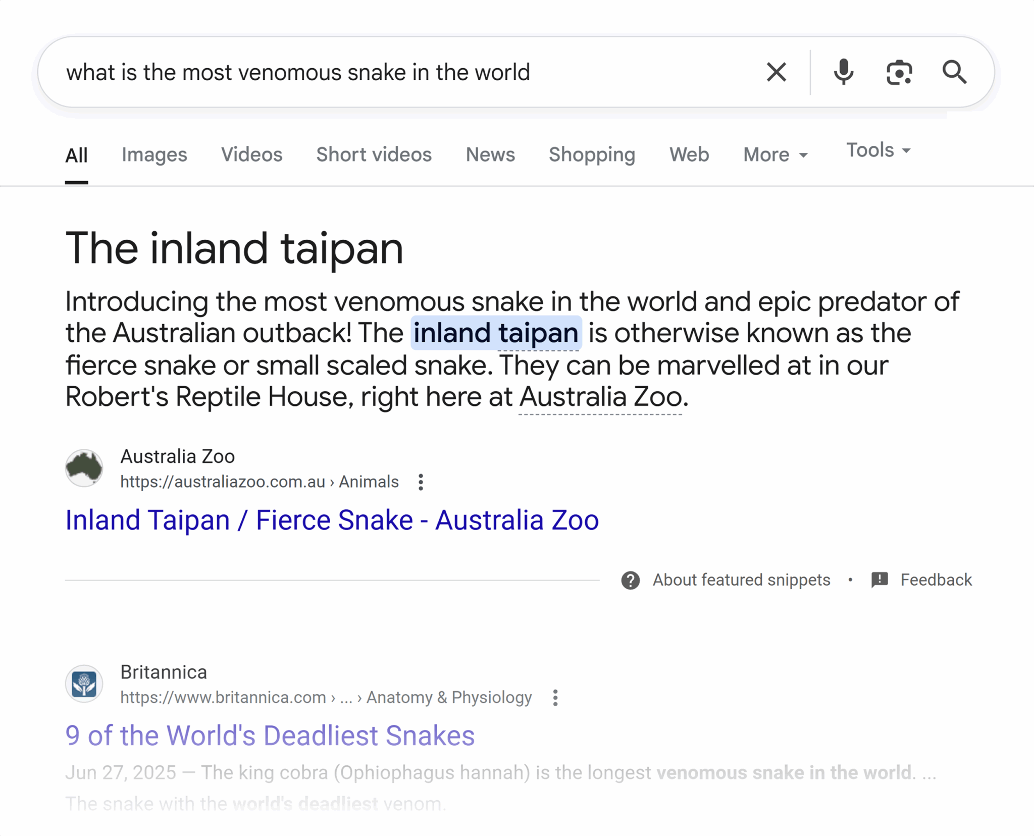 Google Serp Most Venomous Snake Scaled