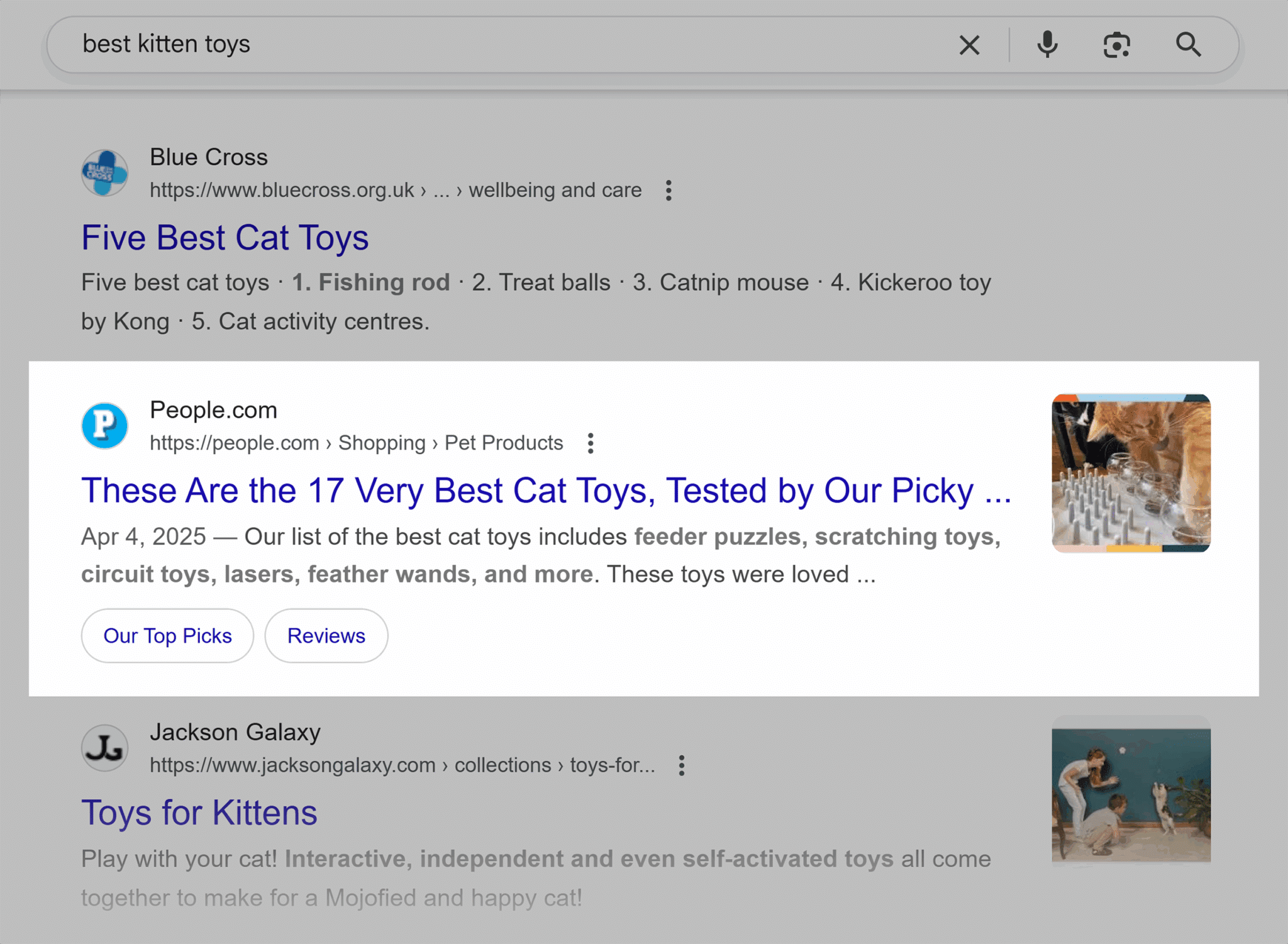 People 17 Very Best Cat Toys Scaled