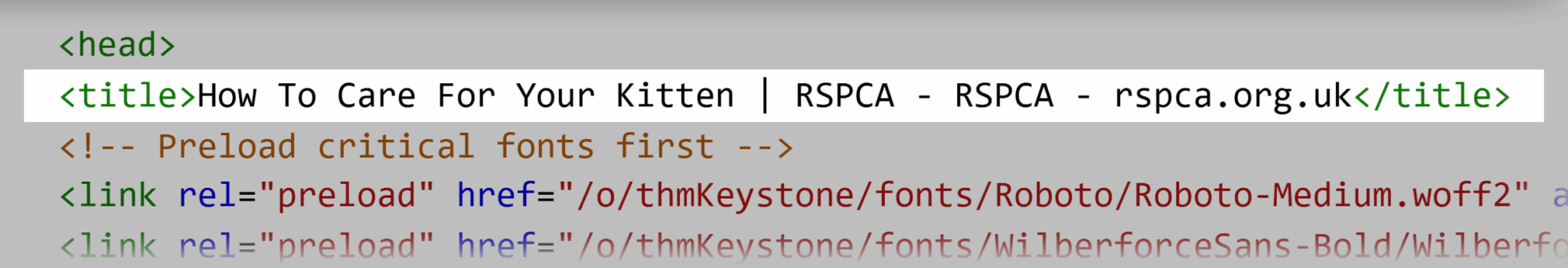 Schema Validator How To Care For Your Kitten Scaled