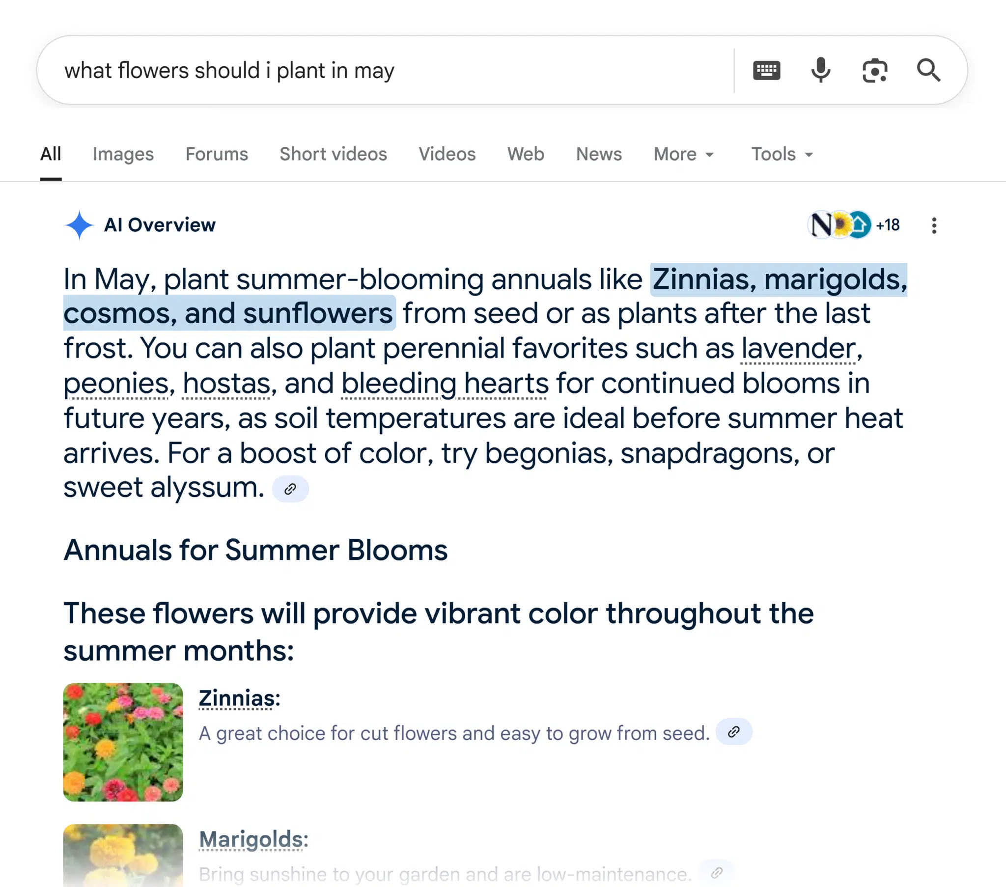Google Serp Flowers To Plant In May Ai Overview Scaled
