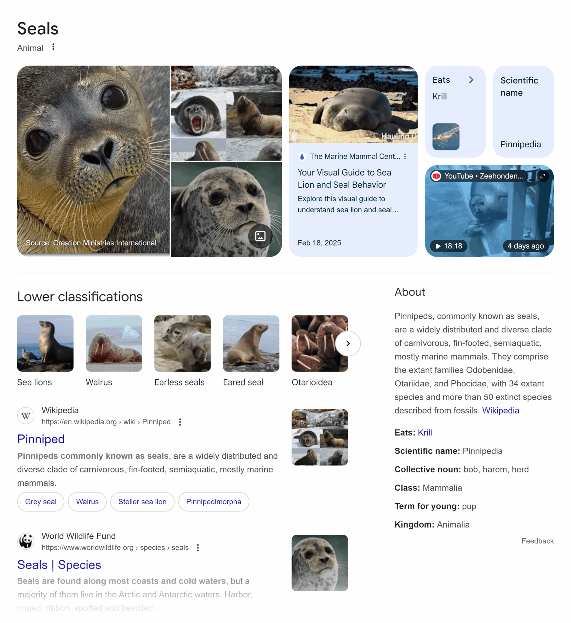 Google Serp Seals Knowledge Panel Scaled