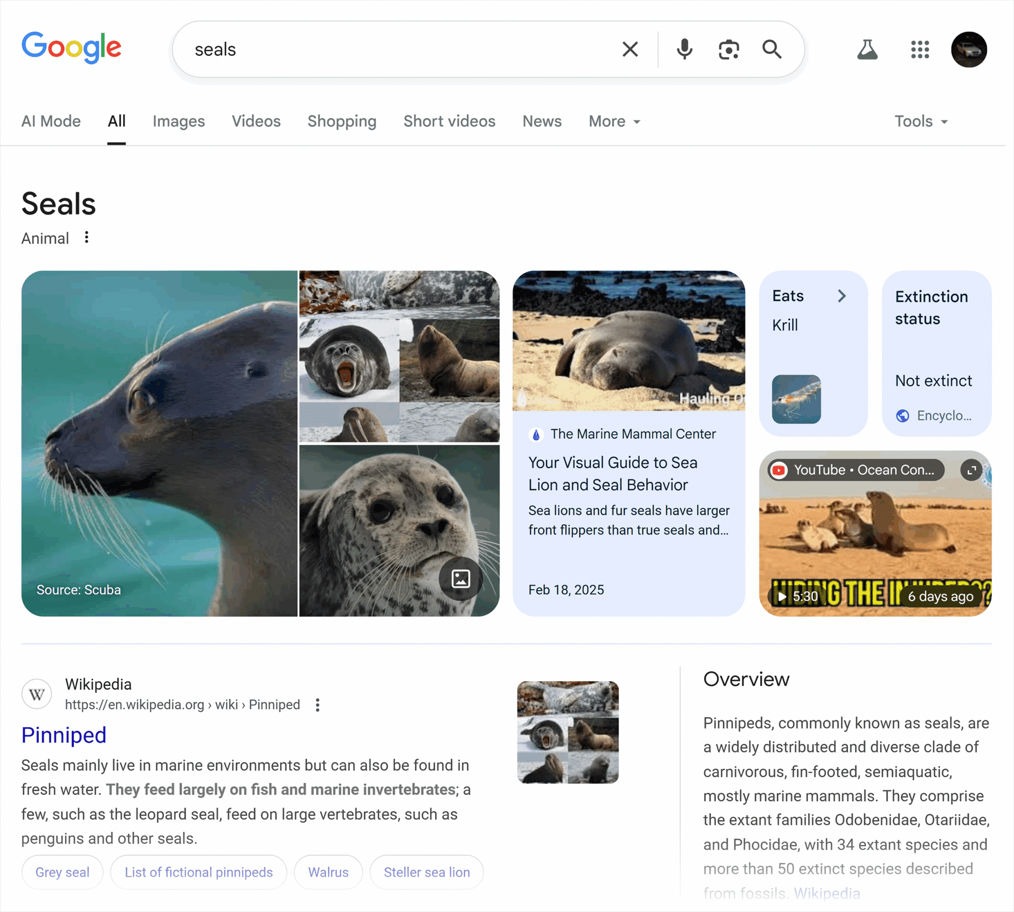 Google Serp Seals Scaled