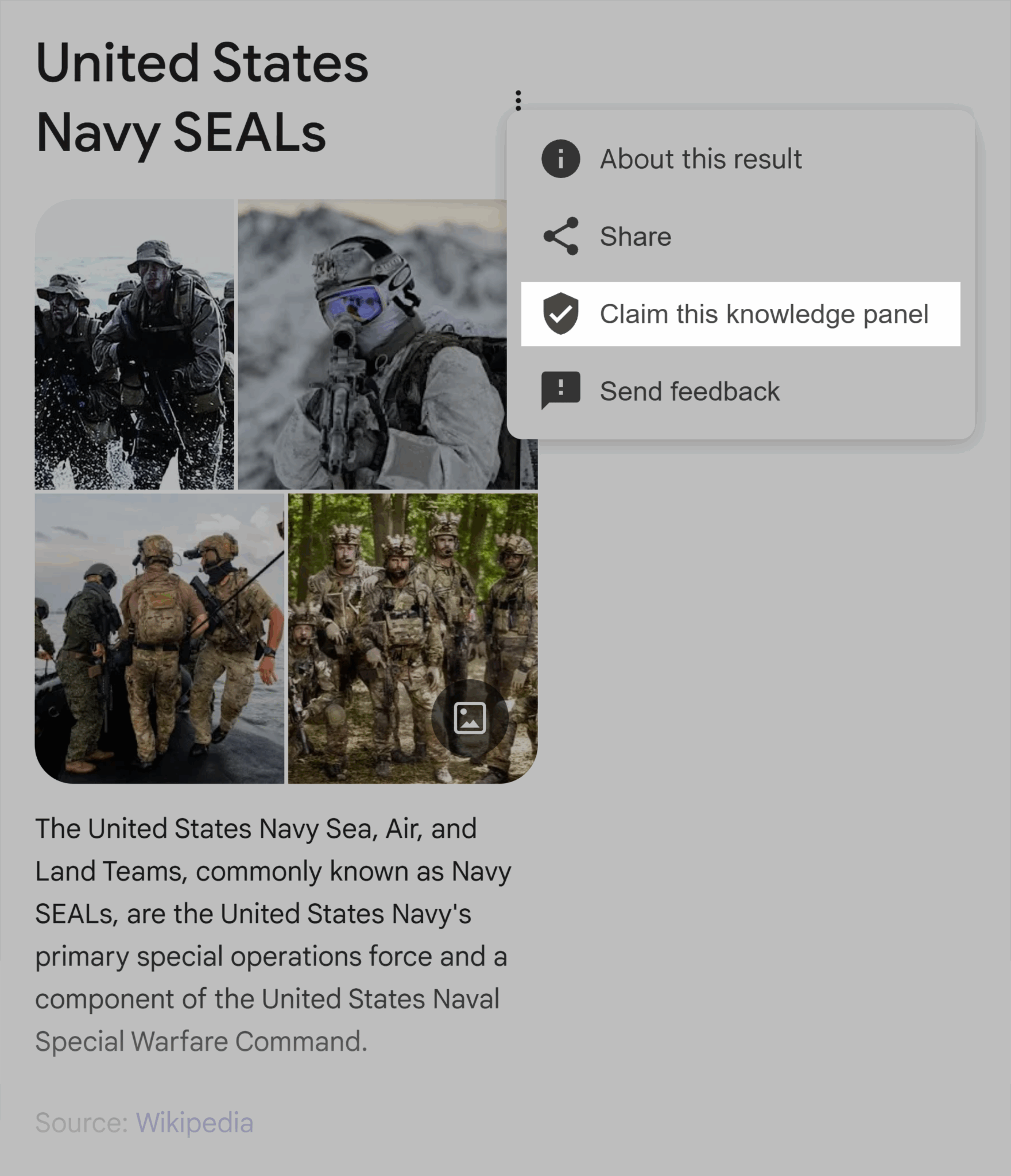 Claim This Knowledge Panel Scaled