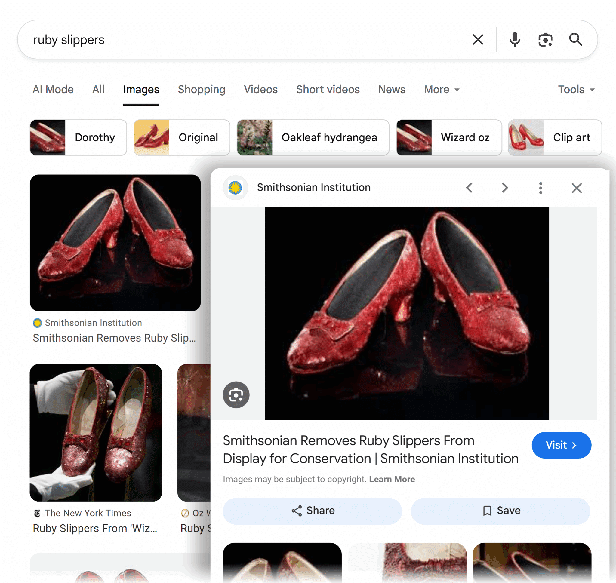 Google Serp Ruby Slippers Images Scaled