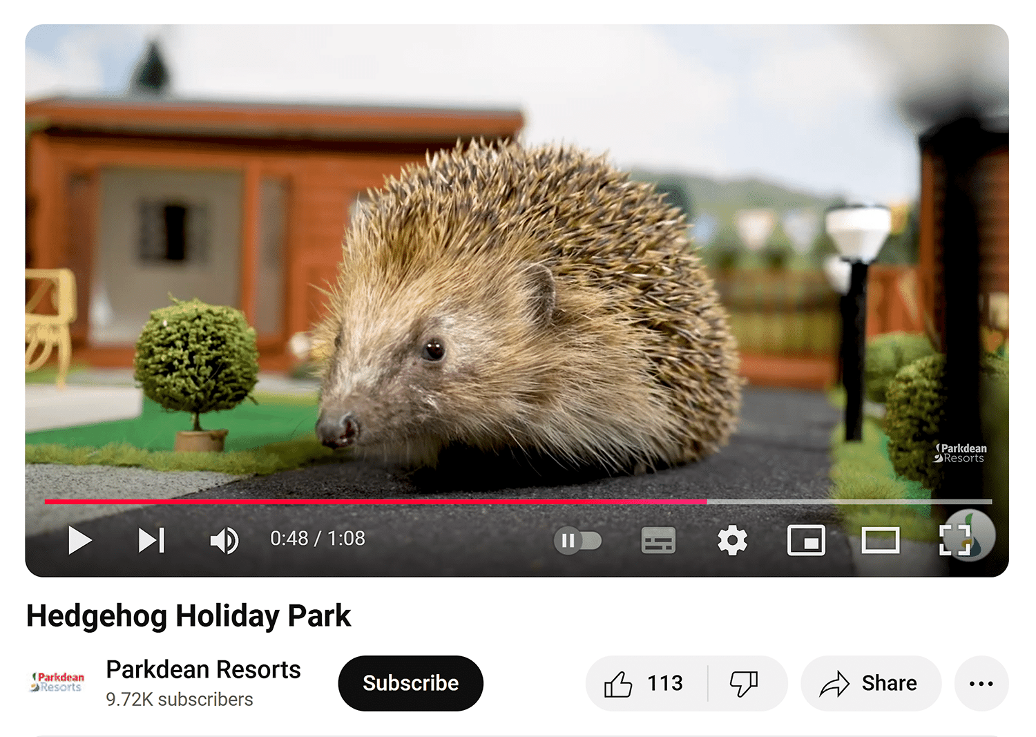 Youtube Video Hedgehog Holiday Park