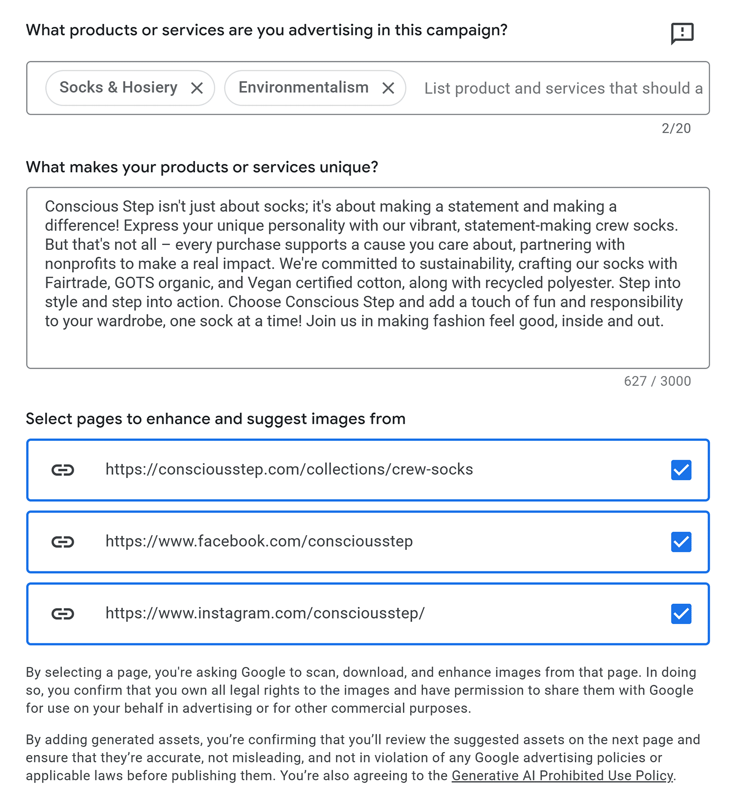 Google Ads Pmax Asset Generation Detials