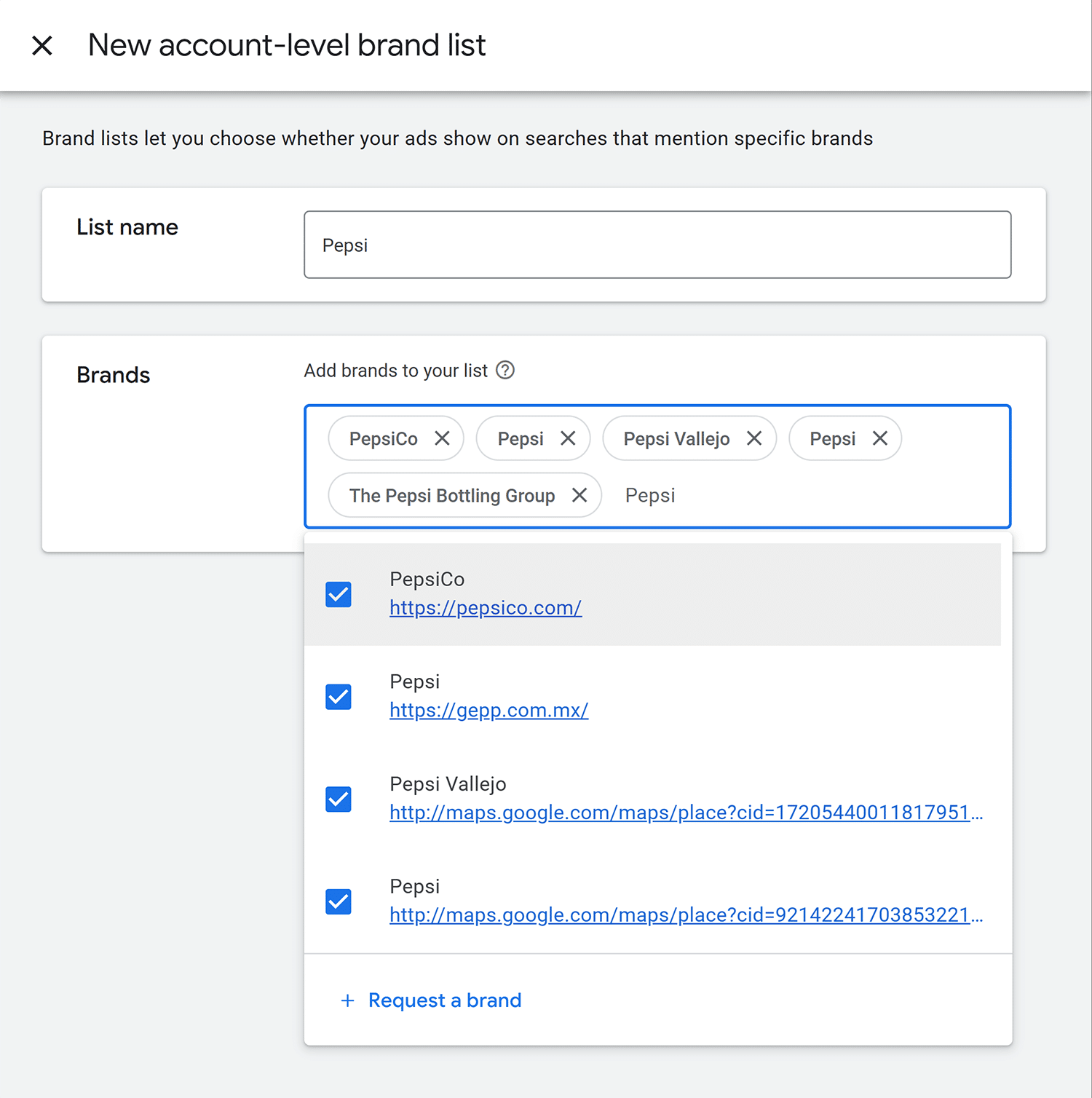 Google Ads Pmax Brand Exclusion 1