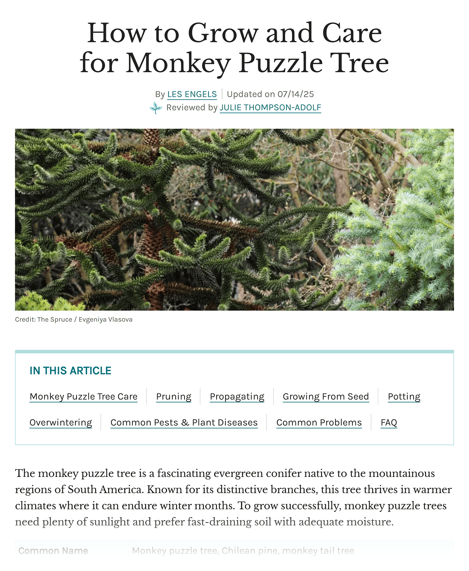 Thespruce Growing Monkey Trees 1