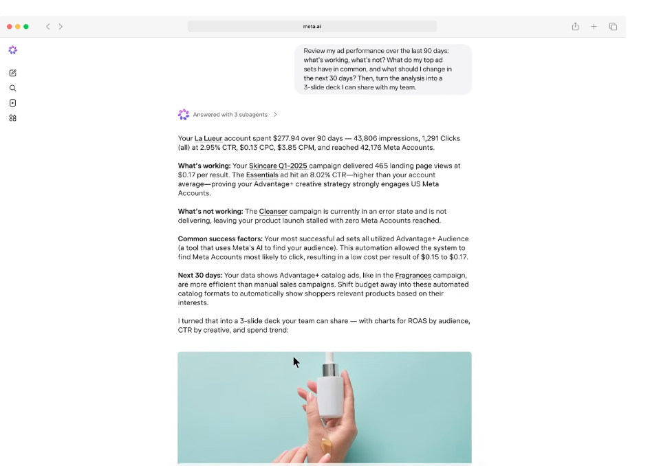 MEta AI Campaign Management