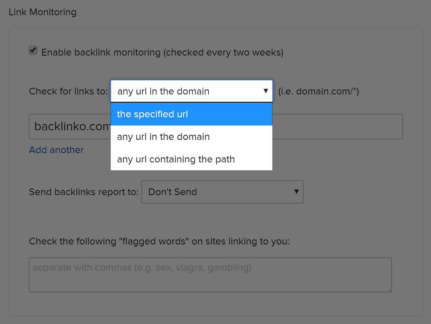 Buzzstream Link Monitoring Specifics