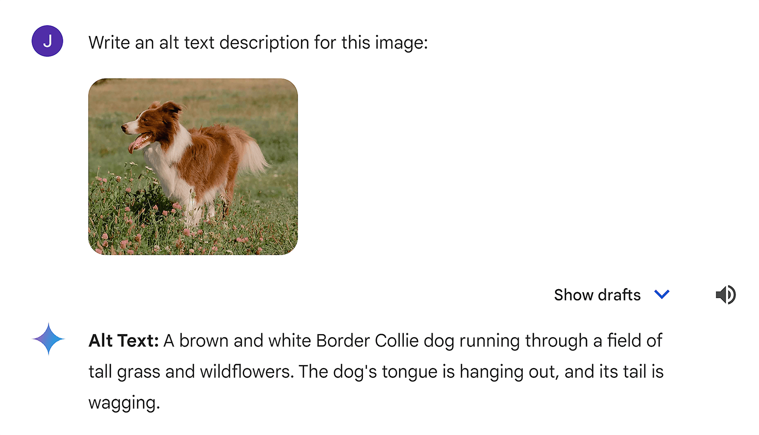 Gemini – Image alt text description Gemini Image Alt Text Description