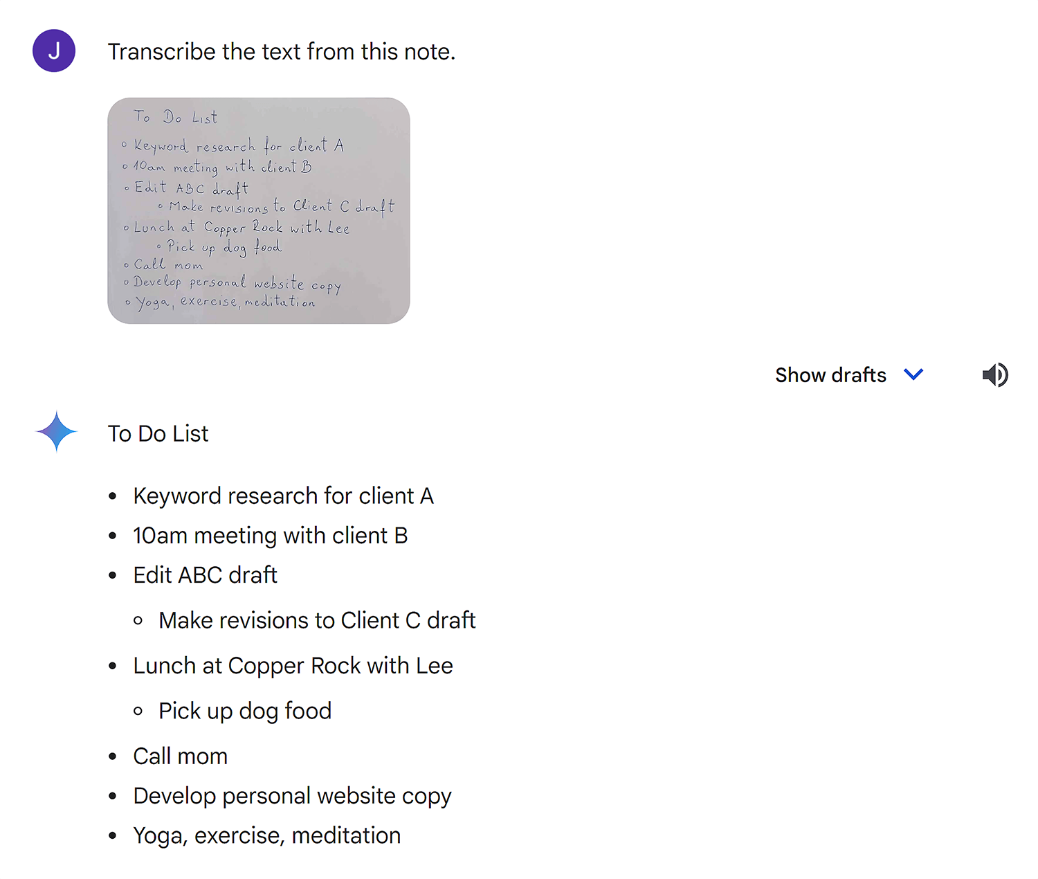 Gemini transcribed handwritten notes Gemini Transcribed Handwritten Notes