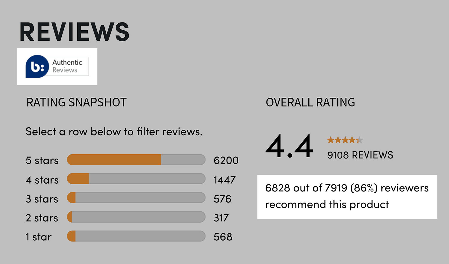 Nutribullet Reviews