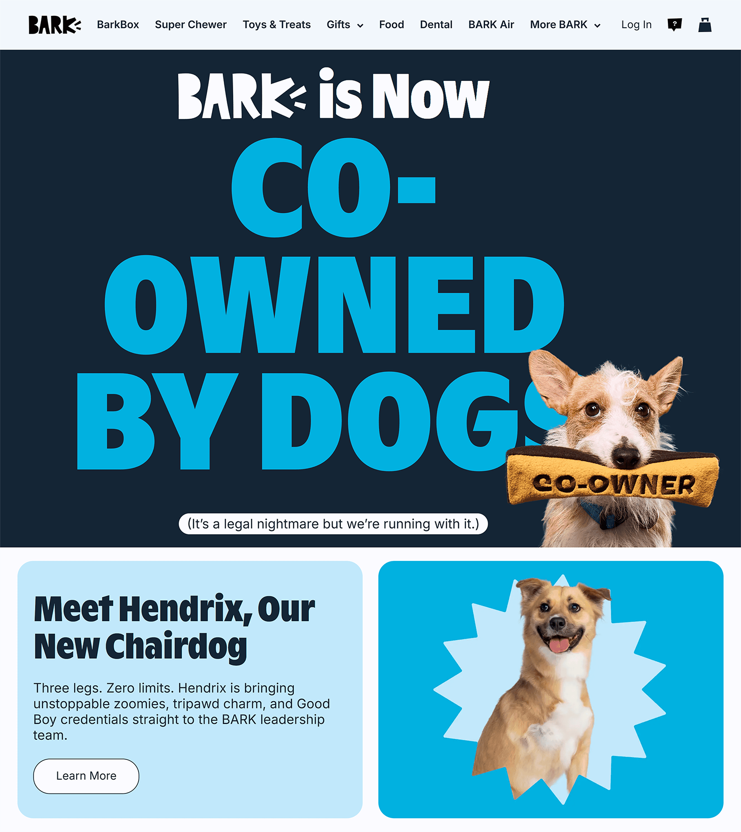 Bark – Homepage Bark Homepage