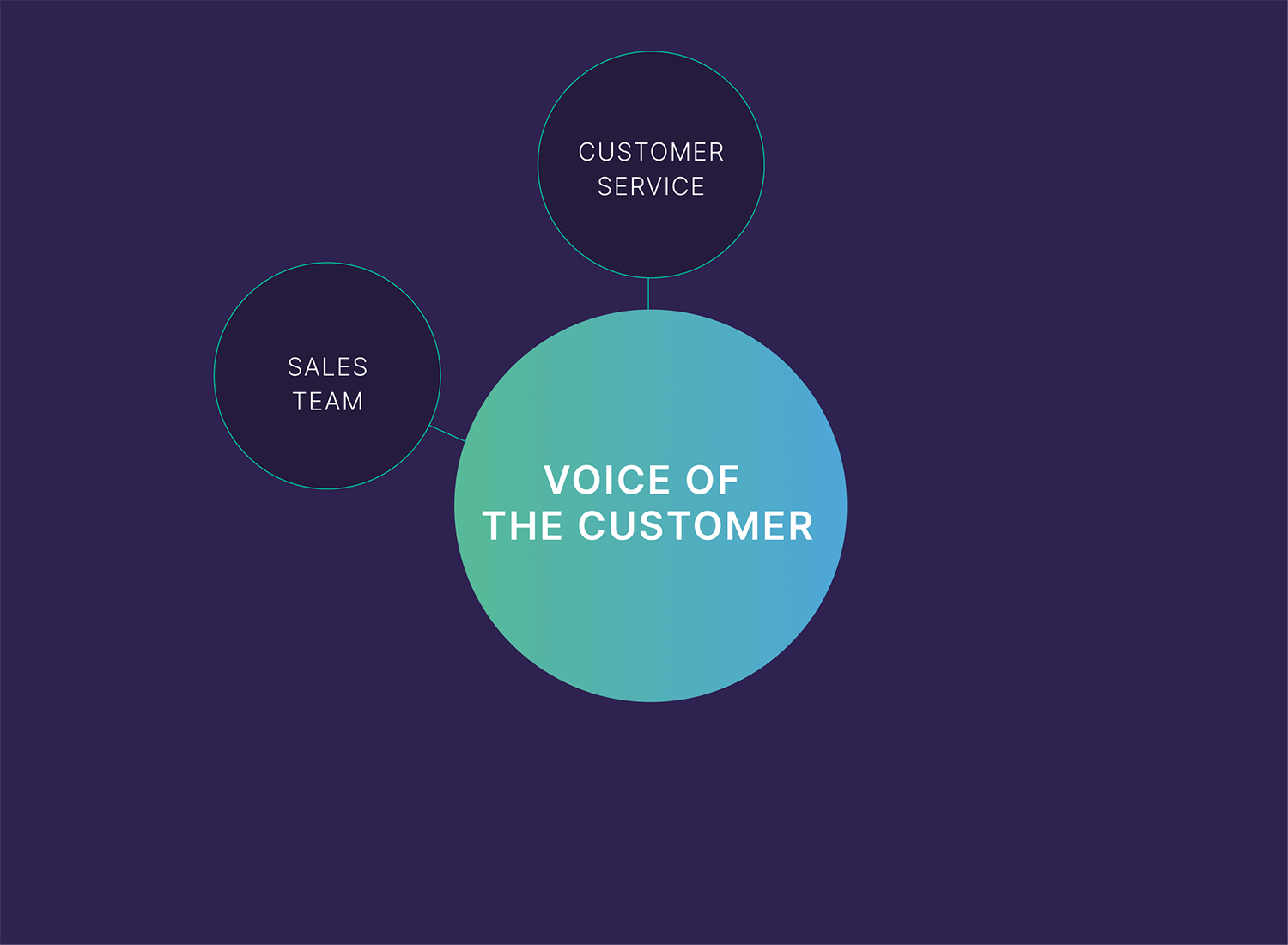 Customer service – Voice of the customer Customer Service Voice Of The Customer