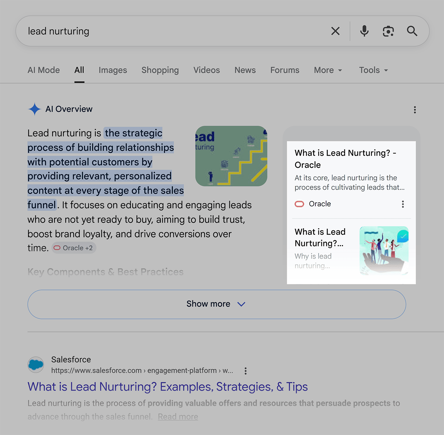 Google SERP – Lead nurturing – AI Overview Google Serp Lead Nurturing Ai Overview