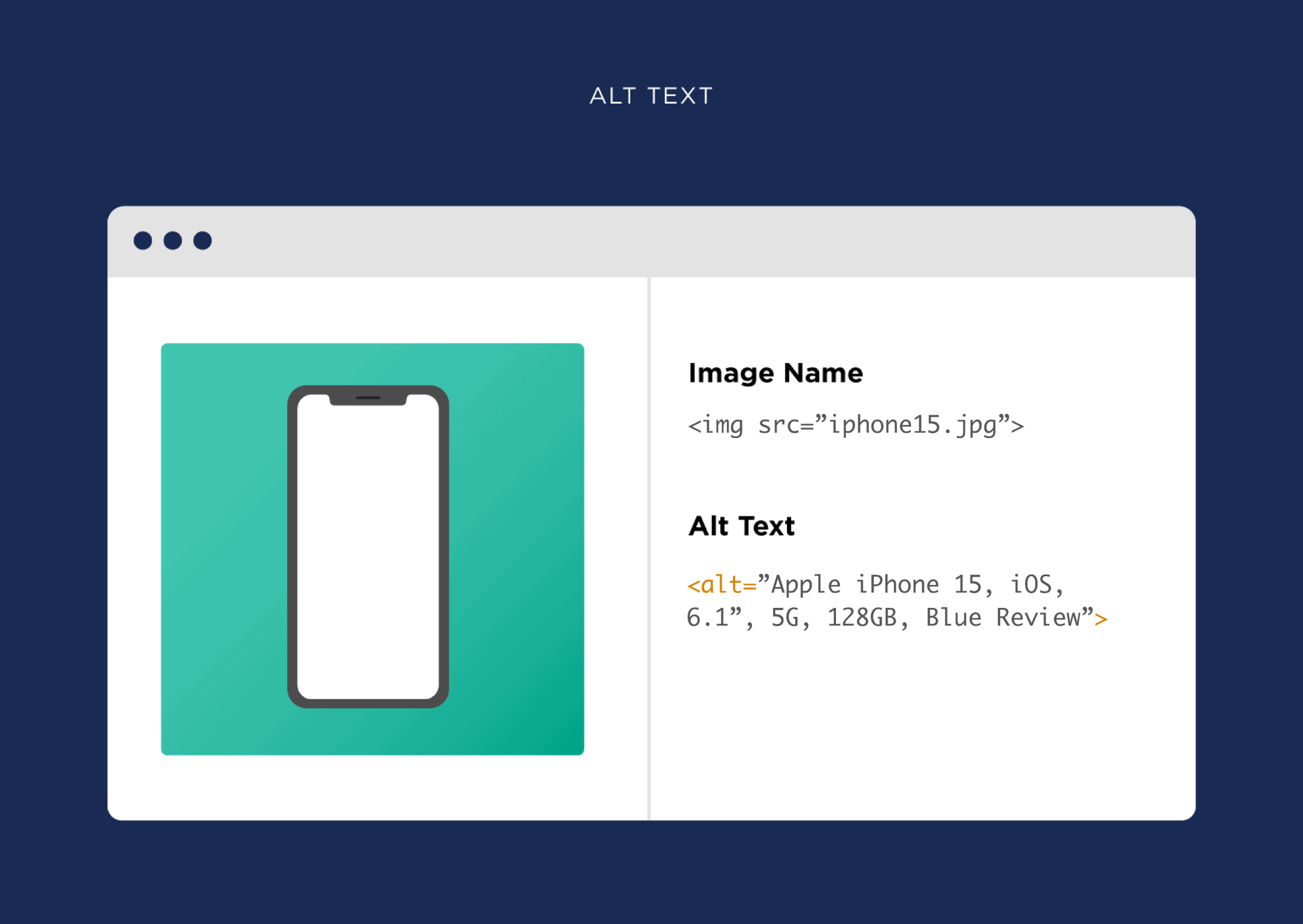 Image alt text Image Alt Text Scaled