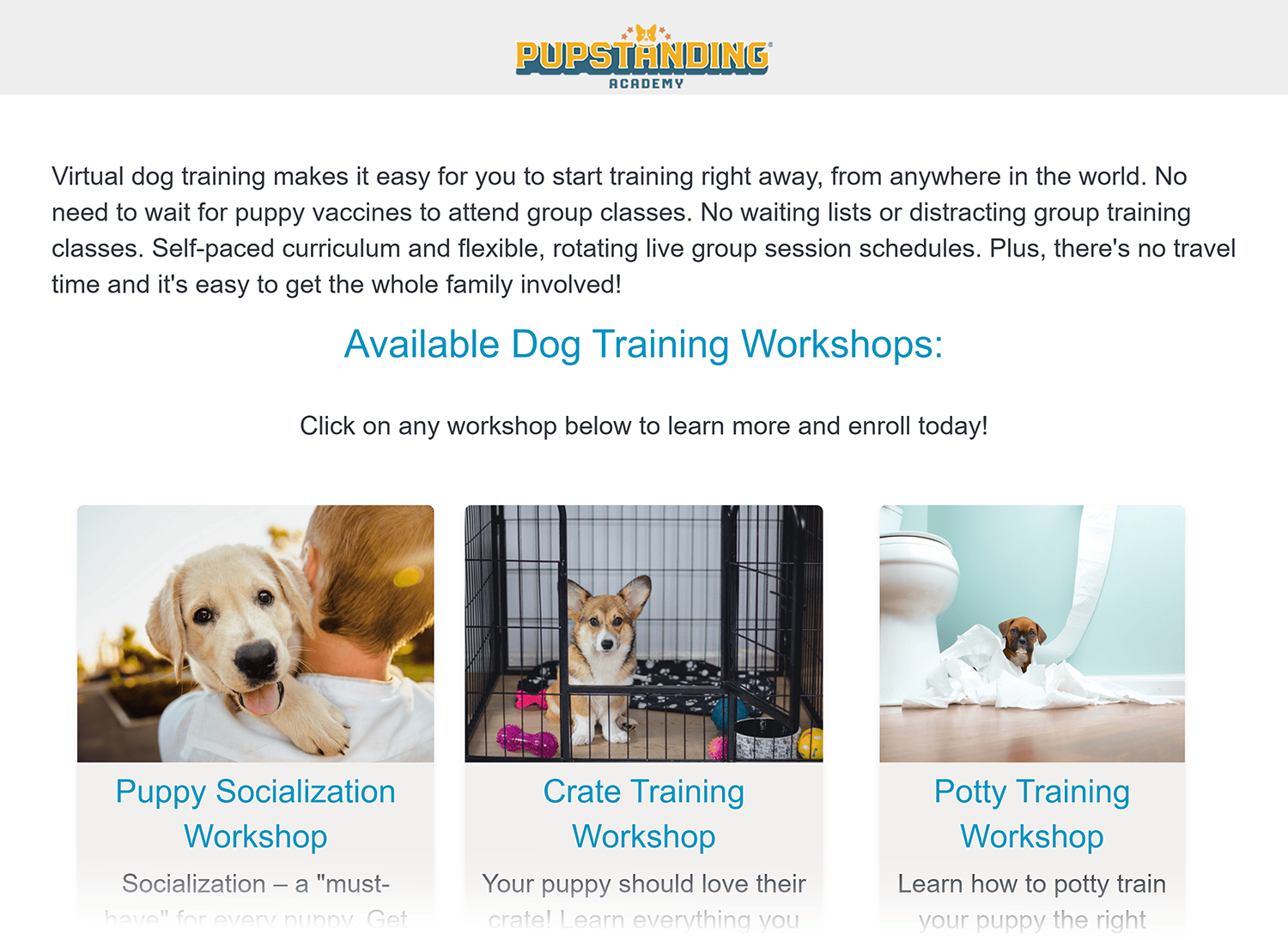 Preventive Vet – Puppy Training Preventivevet Puppy Training