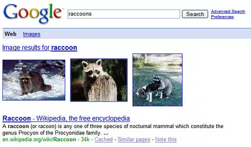 Dog & Raccoon On Google
